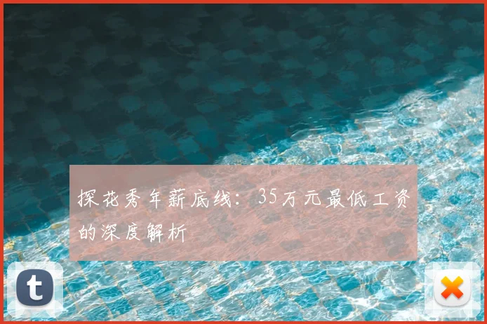 探花秀年薪底线:35万元最低工资的深度解析