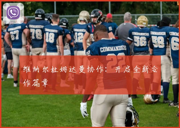 维纳尔杜姆达曼协作：开启全新合作篇章