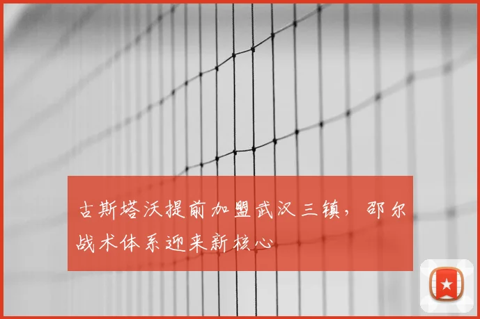 古斯塔沃提前加盟武汉三镇，邵尔战术体系迎来新核心