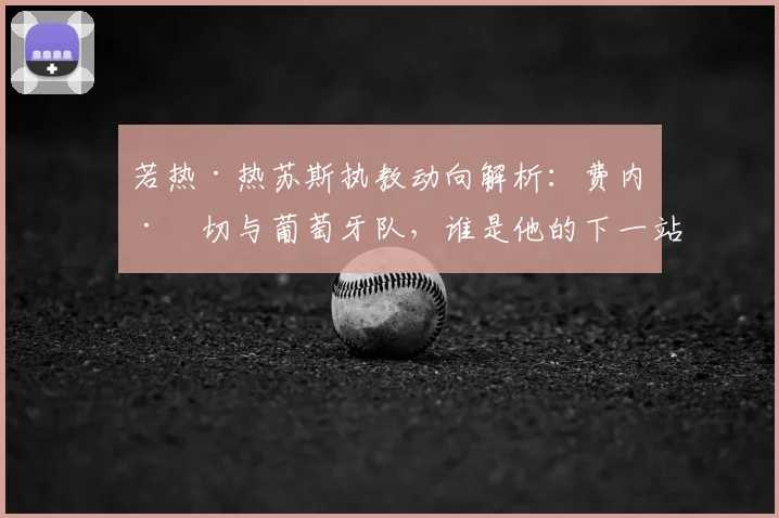 若热·热苏斯执教动向解析:费内巴切与葡萄牙队,谁是他的下一站?