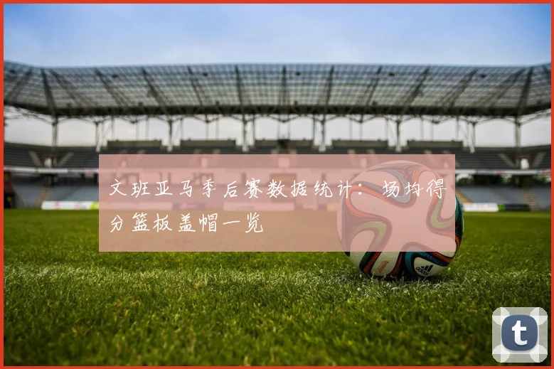 文班亚马季后赛数据统计：场均得分篮板盖帽一览