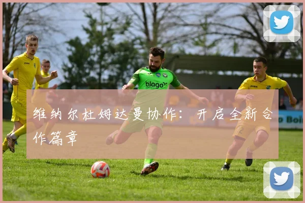 维纳尔杜姆达曼协作：开启全新合作篇章